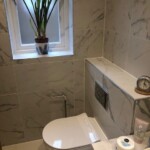 toilet with green plant on window seal