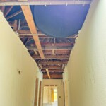 Builder in Surrey